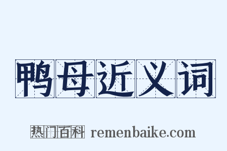 鸭母近义词是什么意思的图片